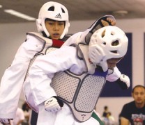 Taekwondo – Terminology: Taekwondo – Terminology: